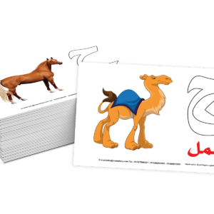 بطاقات - تعلم الحروف العربية